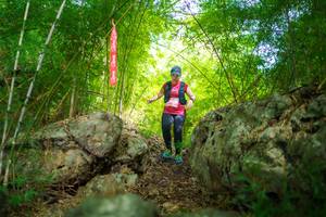 BIB: 
                            <button type="button" onclick="openModal(22087665)" class="btn btn-primary btn-sm float-right btn-popup" data-toggle="modal" data-target=".modal-high-quality">
                        <i class="fas fa-shopping-cart"></i> Add to Cart
                    </button>
                                            <button type="button" onclick="isThisMe(22087665, true)" class="btn btn-success btn-sm float-right btn-popup btn-isme hidden" data-toggle="tooltip" data-placement="bottom" title="นี่คือรูปของคุณใช่ไหม คลิกที่นี่เพื่อเอาเข้าอัลบั้ม">
                        <i class="fas fa-plus"></i> Add to album
                    </button>
                    <button type="button" onclick="isThisMe(22087665, false)" class="btn btn-warning btn-sm float-right btn-popup btn-isnotme hidden">
                        <i class="fas fa-ban"></i> Remove from album
                    </button>